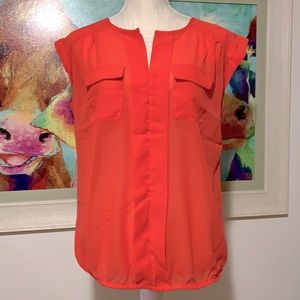 Marisol sheer dress blouse